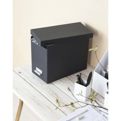Caja Organizadora Jahan, Con 8 Separadores