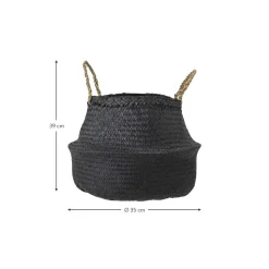 Cesta De Jacintos De Agua Floria