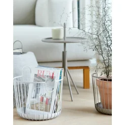 Cesta Ina
