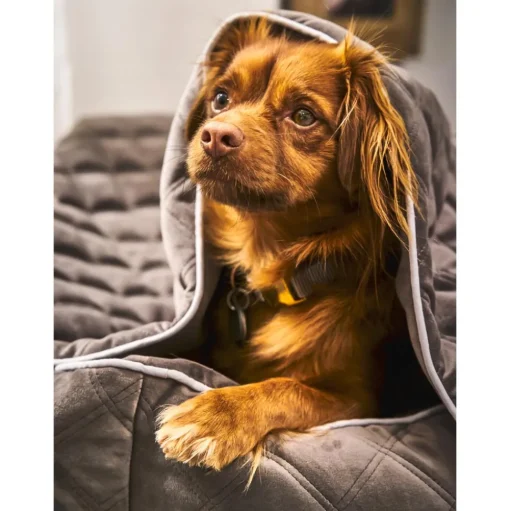 Manta Acolchada Para Mascotas Oxford, Tamanos Diferentes