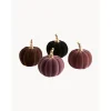 Set De Calabazas Decorativas Mercy, 4 Uds.
