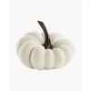 Calabaza Decorativa Pepo
