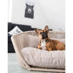 Cama Para Mascotas De Interior/Exterior Vogue