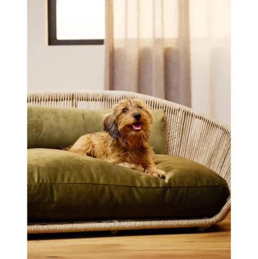 Cama Para Mascotas De Interior/Exterior Vogue