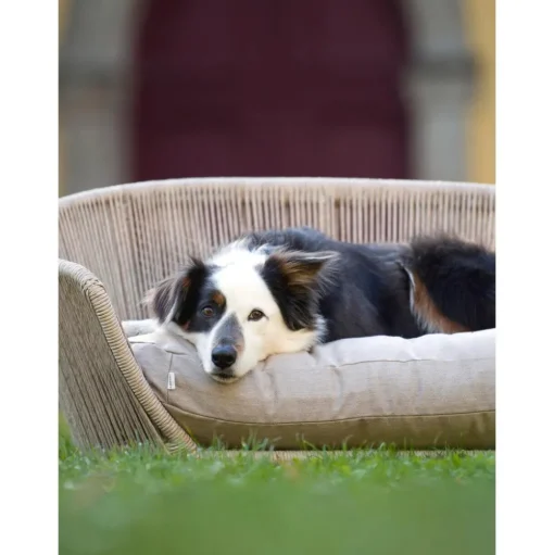 Cama Para Mascotas De Interior/Exterior Vogue