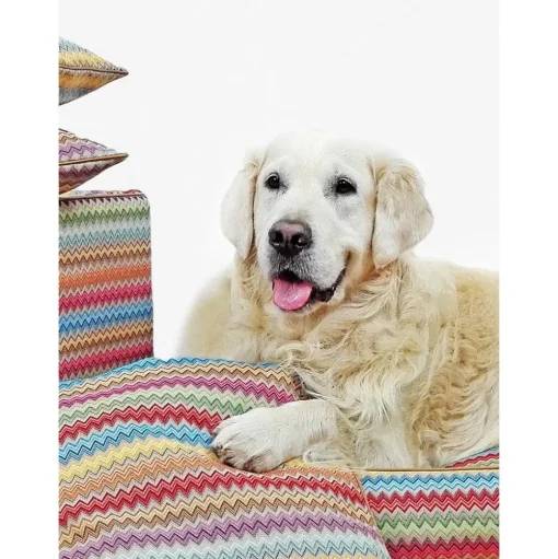Cama Para Mascotas Zik Zak, Tamanos Diferentes