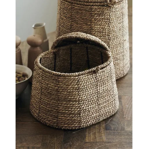 Cesta Con Tapadera De Algas Rama