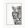 Impresion Digital Enmarcada White Tiger