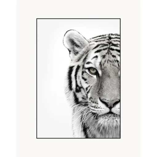 Impresion Digital Enmarcada White Tiger