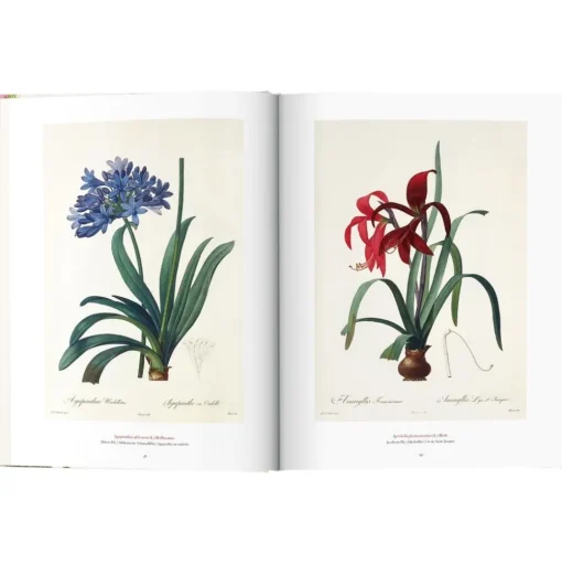 Libro Ilustrado Book Of Flowers