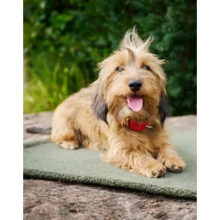 Manta Acolchada Para Mascotas Antideslizante Teddy, Tamanos Diferentes