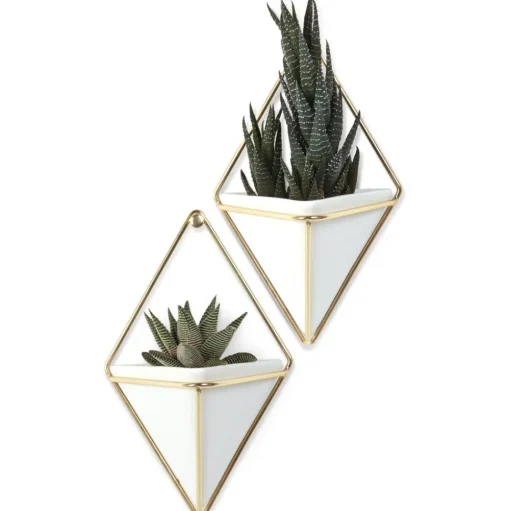 Set De Maceteros De Pared Trigg, 2 Uds.