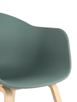 Silla Con Reposabrazos De Plastico Claire