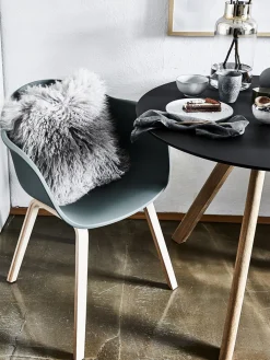Silla Con Reposabrazos De Plastico Claire